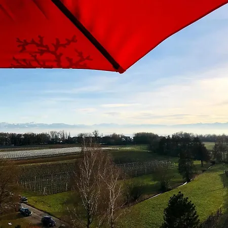 Alina- Penthouse Mit Atemberaubendem Blick Zum Bodensee Διαμέρισμα Kressbronn am Bodensee