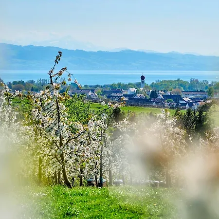 Alina- Penthouse Mit Atemberaubendem Blick Zum Bodensee Kressbronn am Bodensee